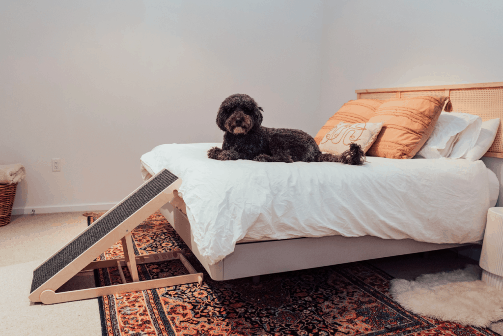 Best Dog ramps for bed