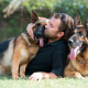 Communication With Your German Shepherd Dogs