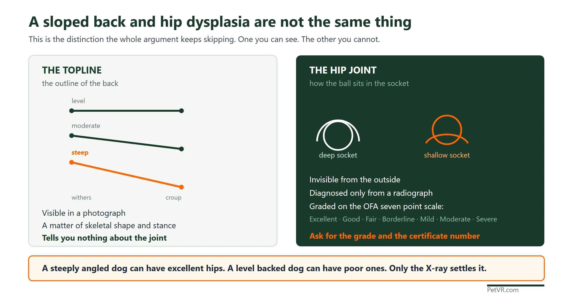 A diagram contrasting the topline, which is the visible outline of a dog's back, with the hip joint, which is invisible from outside and graded from a radiograph on the seven point OFA scale.