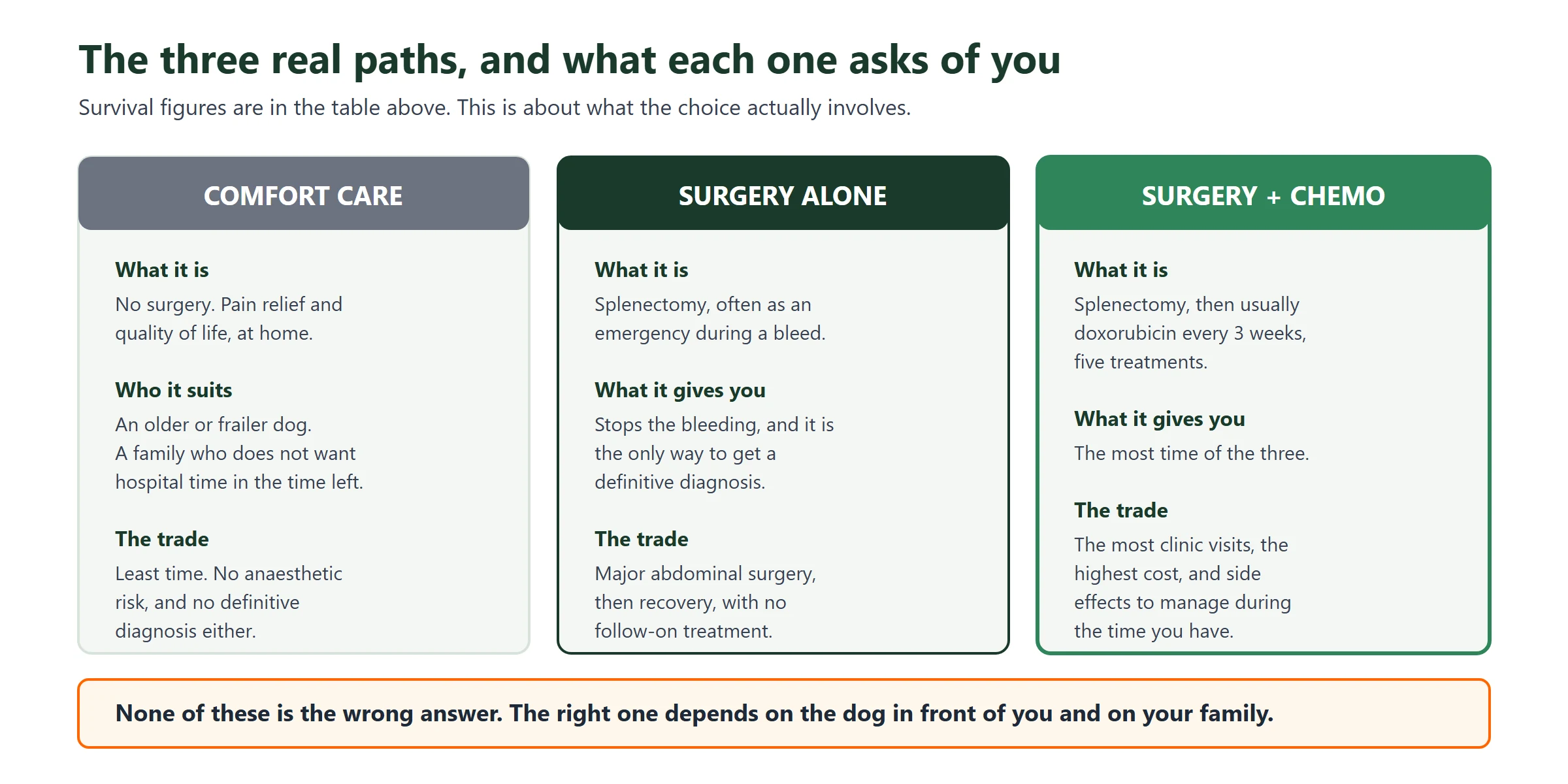 Comparison of the three treatment paths for canine hemangiosarcoma: comfort care, splenectomy alone, and splenectomy plus doxorubicin chemotherapy, with what each involves and the trade-off of each