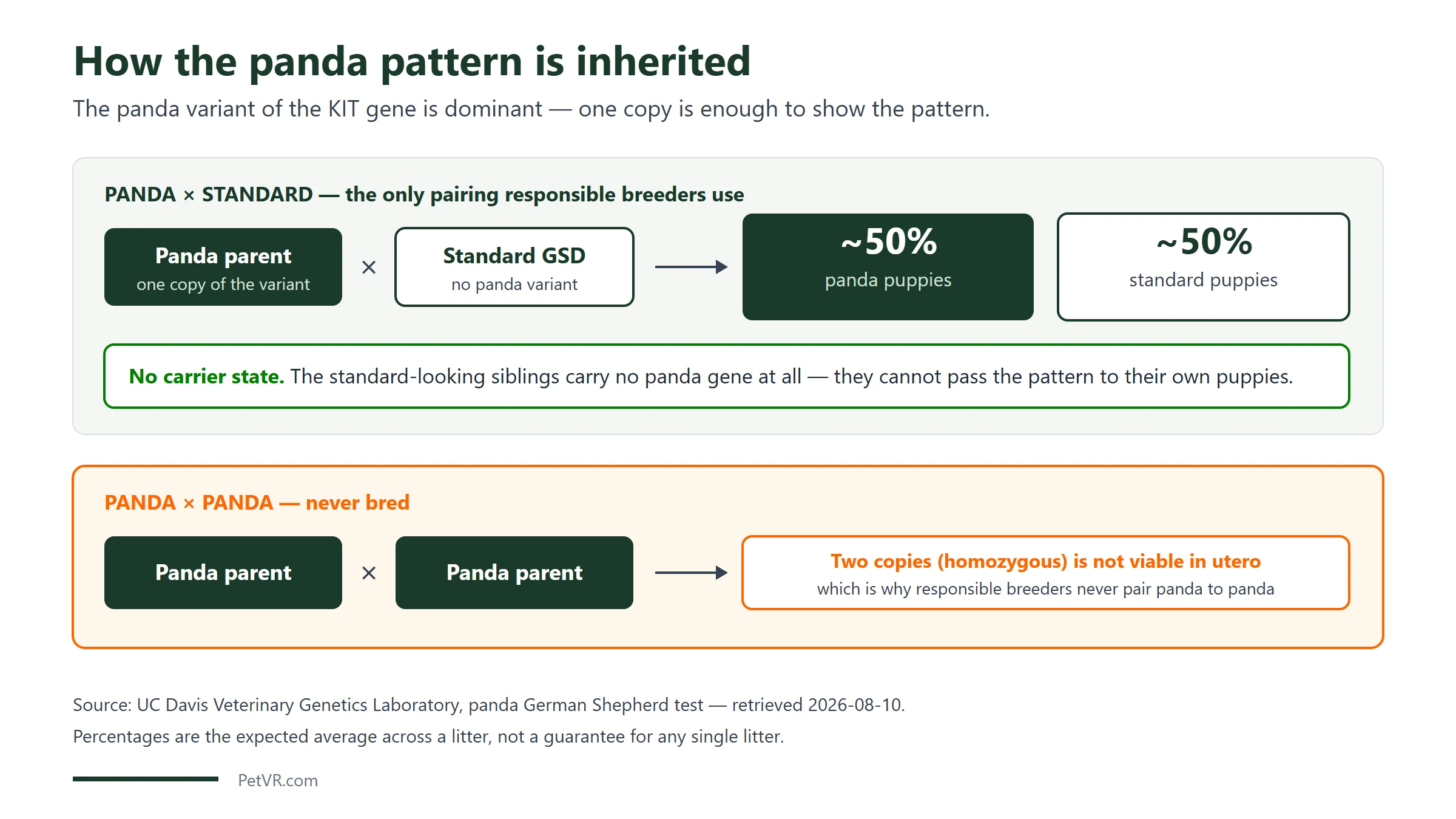 Diagram: breeding one panda German Shepherd to a standard German Shepherd produces about 50 percent panda puppies and 50 percent standard puppies with no carrier state, while pairing two panda parents is not viable because two copies of the KIT variant do not survive in utero