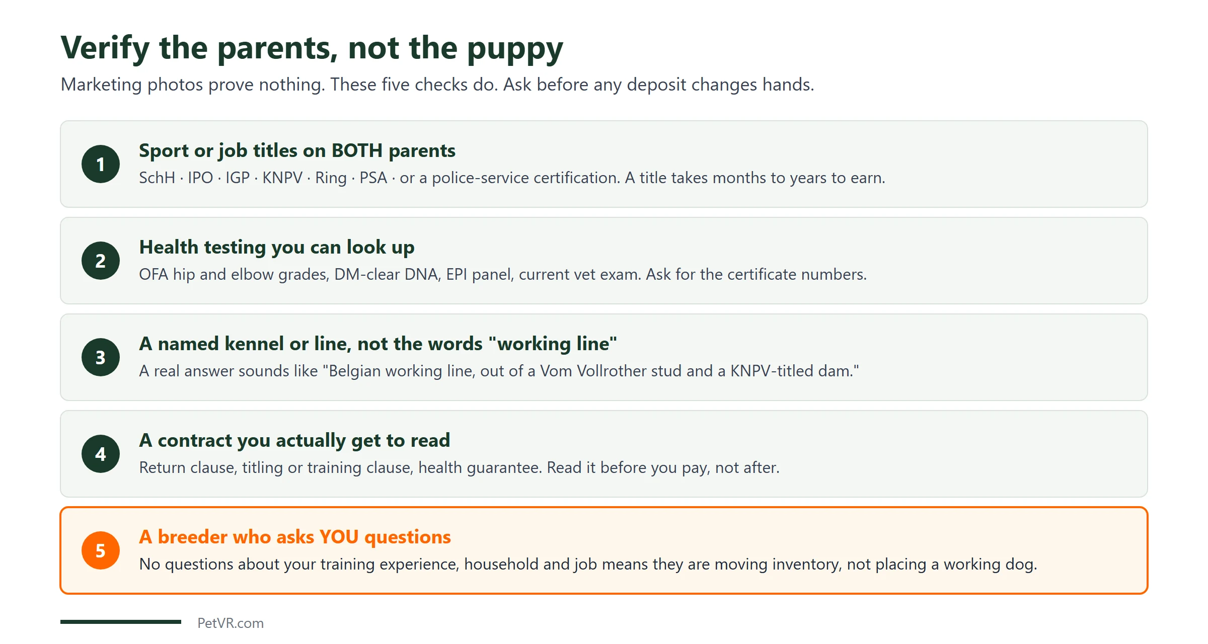 Five checks for verifying a working line German Shepherd puppy: sport or job titles on both parents, verifiable OFA hip and elbow grading plus DM and EPI testing, a named kennel or pedigree line, a contract you can read before paying, and a breeder who asks you questions